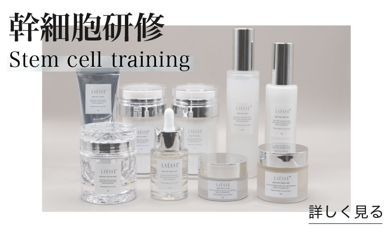 幹細胞研修