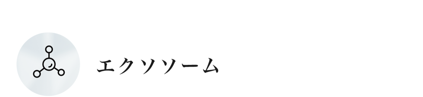 エクソソーム