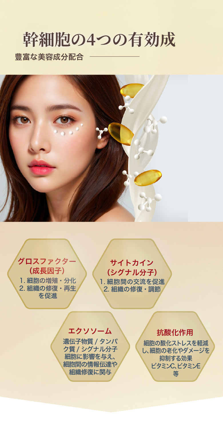 幹細胞の4つの有効成分